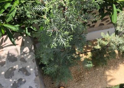 nurma proyecto calpe12